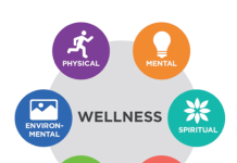 What is Wellness? wellnesscarepro