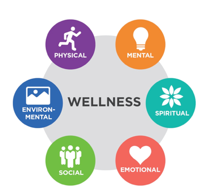 What is Wellness? wellnesscarepro