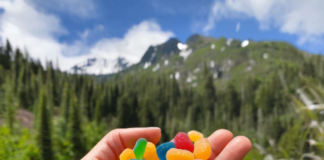 Keto Ripped ACV Gummies Reviews: It Is Really Work (Keto Ripped ACV Gummies) & Where To Buy!