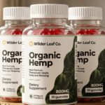 Wilder Leaf Organic Hemp Australia 100% Natural Gummies and Safe Way to Relieve Stress, Pain,and Anxiety Also Must Know(Vital Hemp Gummies) All Details? Wilder Leaf Organic Hemp Australia